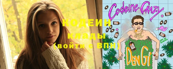 ГАЛЛЮЦИНОГЕННЫЕ ГРИБЫ Новодвинск