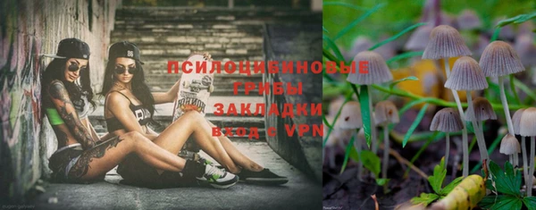 ГАЛЛЮЦИНОГЕННЫЕ ГРИБЫ Новодвинск