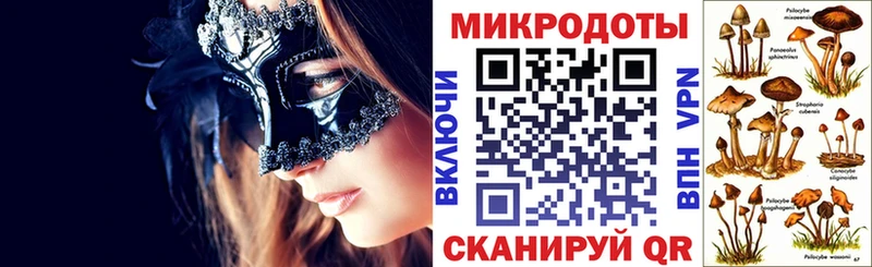 Псилоцибиновые грибы Cubensis Кукмор